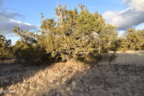 907 E Jackpine Ln #45, Williams, AZ 86046 photo 5