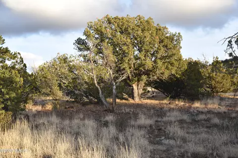 907 E Jackpine Ln #45, Williams, AZ 86046 photo 2