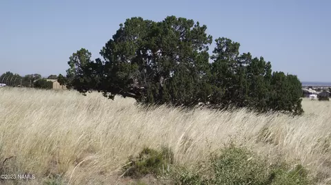 4101 Meadowbrook Dr, Williams, AZ 86046