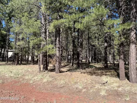 1675 Fleet Deer Dr #33, Parks, AZ 86018