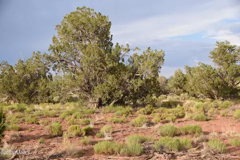 549 S Overland Trl #149, Williams, AZ 86046