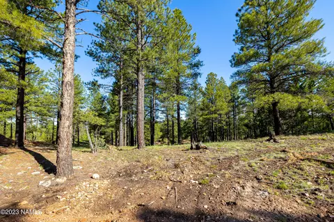 3647 Woodland Hills Dr, Flagstaff, AZ 86005