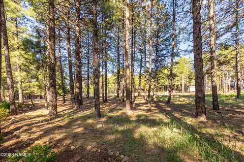 4545 N Doral Way, Flagstaff, AZ 86005