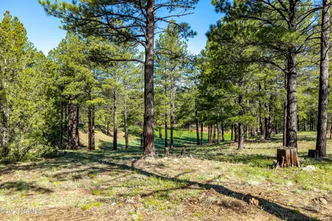 3631 S Woodland Hills- Lot 369 Dr, Flagstaff, AZ 86005