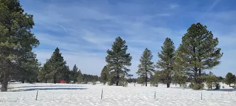 4603 Forrest Ranches Loop, Parks, AZ 86018
