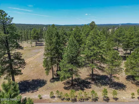 4800 E Gandalf Ln, Flagstaff, AZ 86004