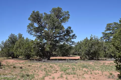 596 Overland Trl #171, Williams, AZ 86046