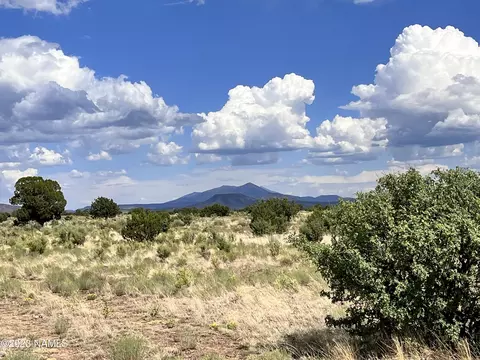 8136 S Big Bear Rd #463, Williams, AZ 86046