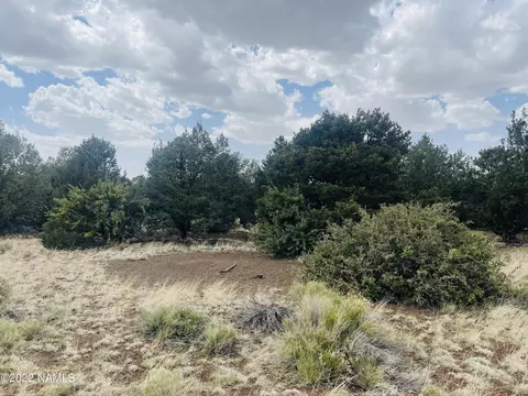 7382 N Apache Ave, Williams, AZ 86046 photo 13