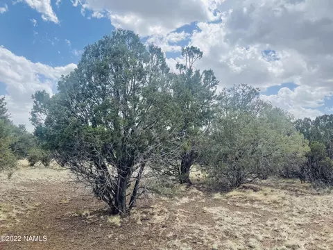 7382 N Apache Ave, Williams, AZ 86046 photo 6
