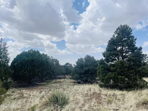 7382 N Apache Ave, Williams, AZ 86046