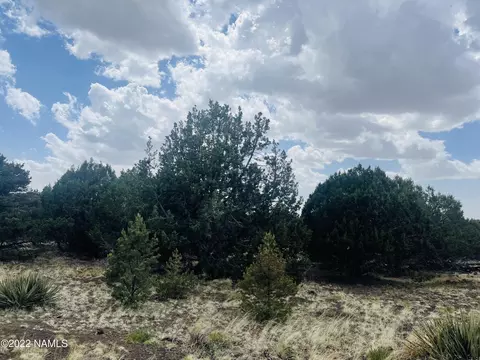 7382 N Apache Ave, Williams, AZ 86046 photo 2