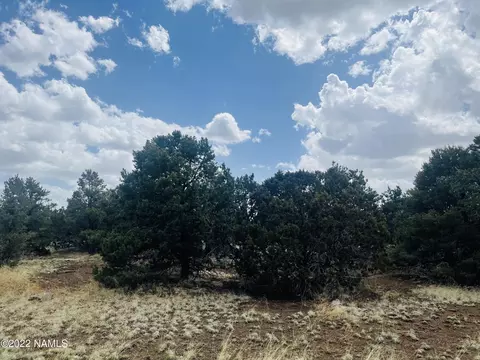 7382 N Apache Ave, Williams, AZ 86046 photo 12