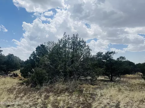 7382 N Apache Ave, Williams, AZ 86046 photo 7