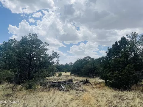 7382 N Apache Ave, Williams, AZ 86046 photo 9