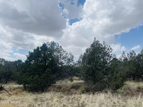 7382 N Apache Ave, Williams, AZ 86046 photo 10
