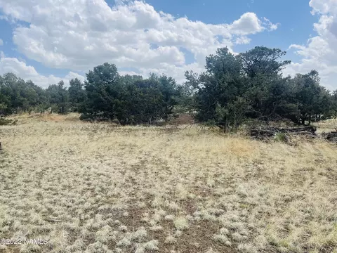 7382 N Apache Ave, Williams, AZ 86046 photo 8