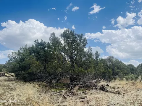 7382 N Apache Ave, Williams, AZ 86046 photo 11