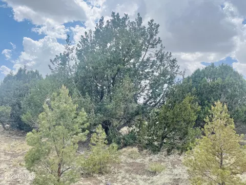 7382 N Apache Ave, Williams, AZ 86046 photo 4