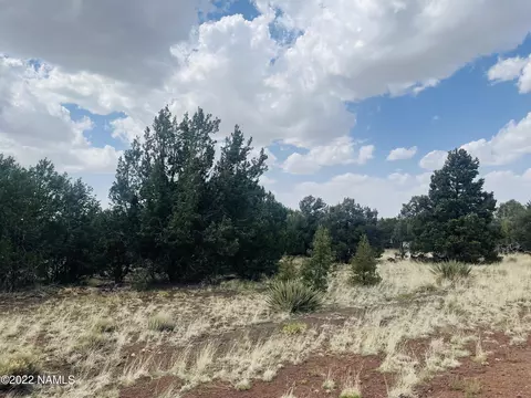 7382 N Apache Ave, Williams, AZ 86046 photo 14