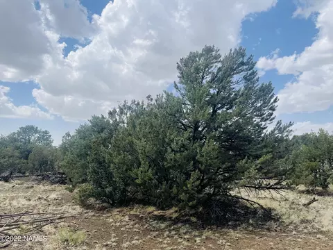 7382 N Apache Ave, Williams, AZ 86046 photo 5