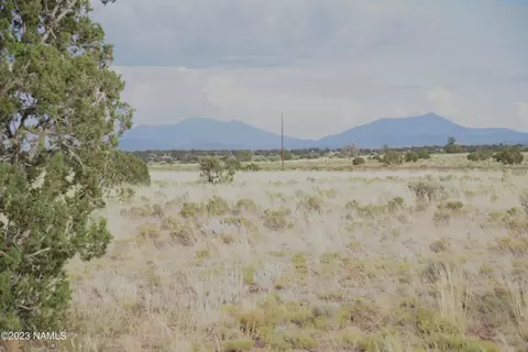1181 E South Rim Ranch Rd #29, Williams, AZ 86046