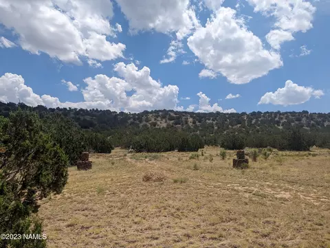 13401 Howard Mesa Loop, Williams, AZ 86046 photo 8