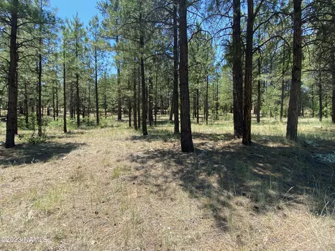 2476 Apache Dr #565, Happy Jack, AZ 86024