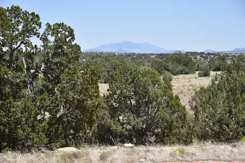 5944 Fire Sky Trl #979, Williams, AZ 86046