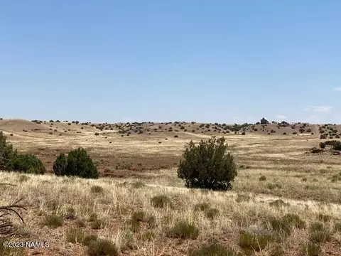 Unit 3 Rancho Alegre Lot 102 103 104 Alley, Concho, AZ 85924