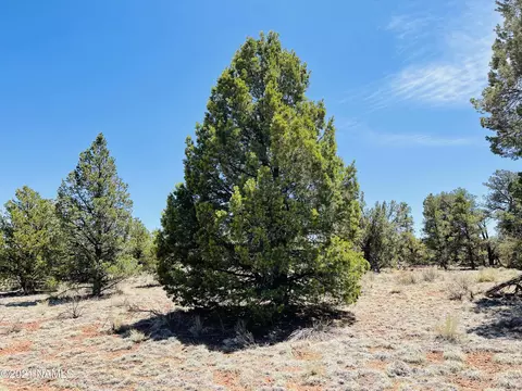 5380 N Windy Walk Way, Williams, AZ 86046