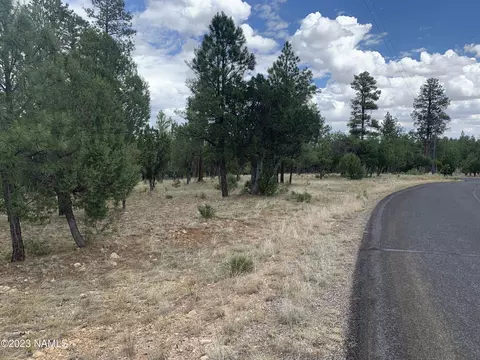 2962 Coyote Rdg, Happy Jack, AZ 86024