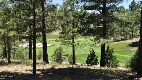 3160 S Solitaires Canyon Dr #357, Flagstaff, AZ 86005
