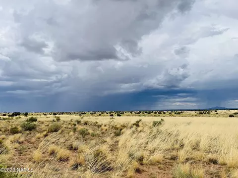 3159 E Pine Rd, Williams, AZ 86046 photo 4