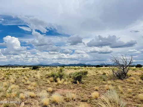 3159 E Pine Rd, Williams, AZ 86046 photo 10