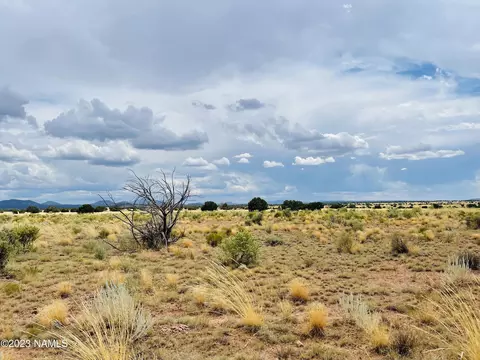 3159 E Pine Rd, Williams, AZ 86046 photo 3