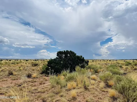 3159 E Pine Rd, Williams, AZ 86046 photo 2