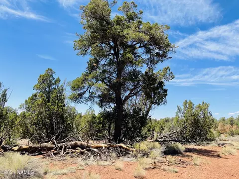 5128 N Bull Run Rd #LOT D, Williams, AZ 86046