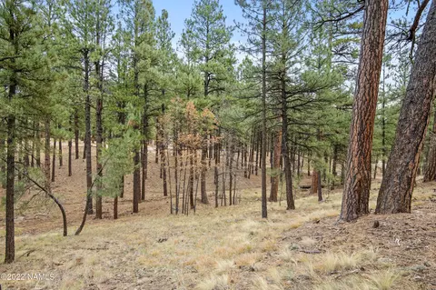4631 N Creekside Ln #1, Flagstaff, AZ 86001