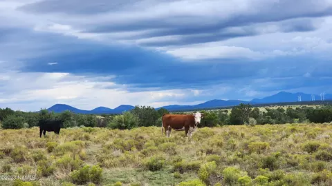 5946 W Clove Hitch Rd, Williams, AZ 86046