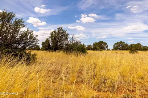 3054 E Silver Valley Rd, Williams, AZ 86046 photo 18