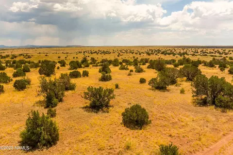 3054 E Silver Valley Rd, Williams, AZ 86046 photo 10