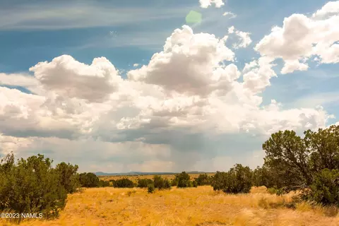 3054 E Silver Valley Rd, Williams, AZ 86046 photo 21