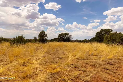 3054 E Silver Valley Rd, Williams, AZ 86046 photo 16
