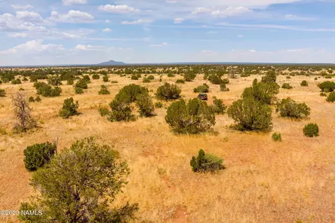3054 E Silver Valley Rd, Williams, AZ 86046 photo 2