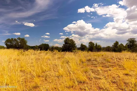 3054 E Silver Valley Rd, Williams, AZ 86046 photo 17