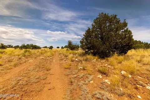 3054 E Silver Valley Rd, Williams, AZ 86046 photo 15