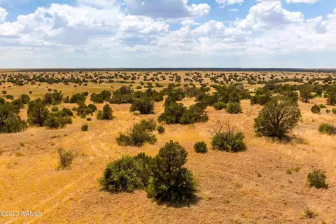 3054 E Silver Valley Rd, Williams, AZ 86046 photo 6