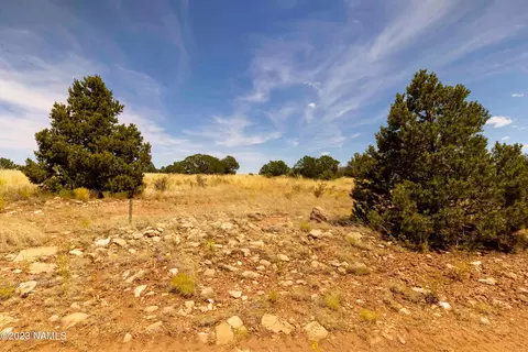 3054 E Silver Valley Rd, Williams, AZ 86046 photo 14