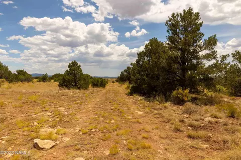 3054 E Silver Valley Rd, Williams, AZ 86046 photo 13